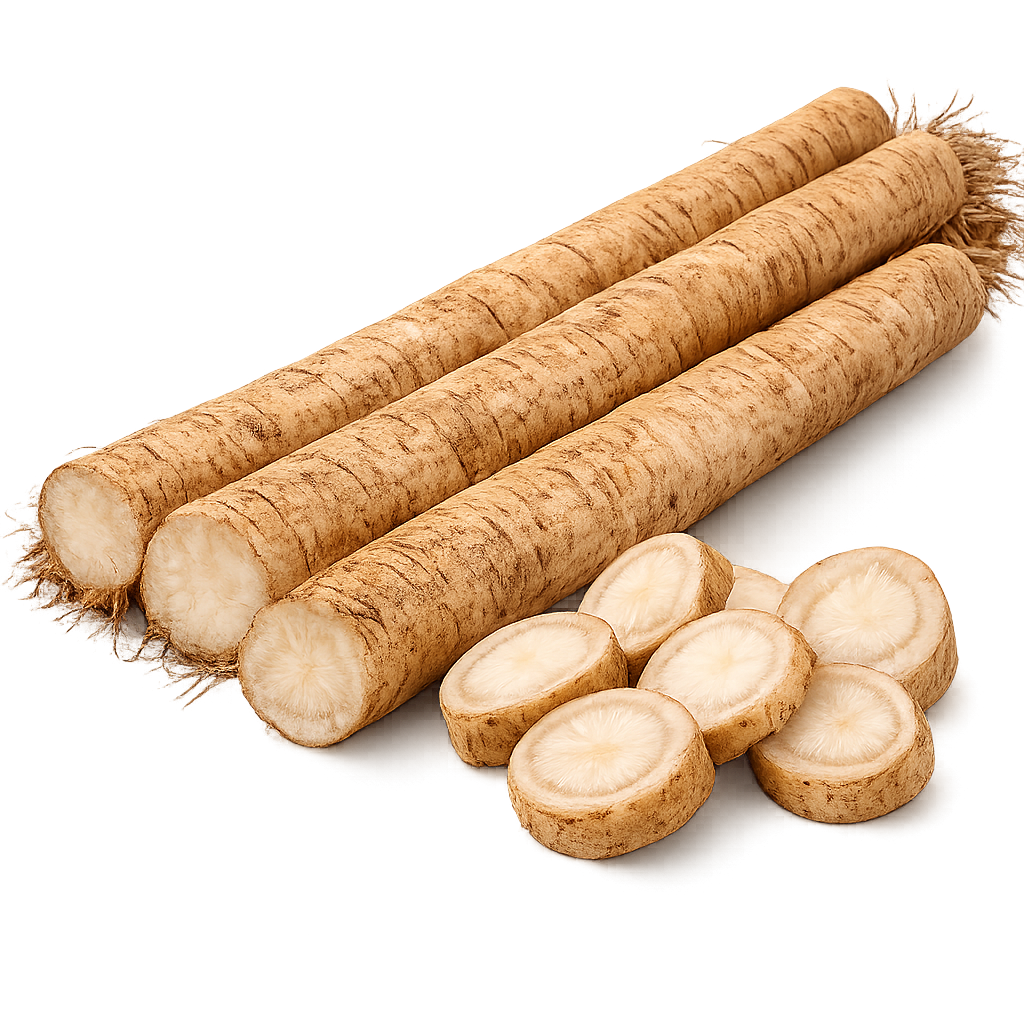 Burdock Root